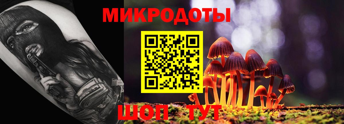 Галлюциногенные грибы MAGIC MUSHROOMS Котовск