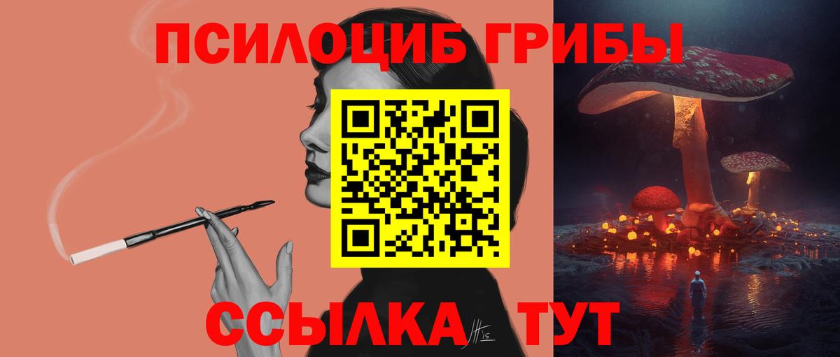 Котовск  Галлюциногенные грибы мухоморы  Вход с VPN 
